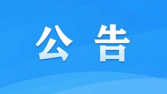河北省生成式人工智能服務(wù)登記信息公告（〔2026〕-2號）